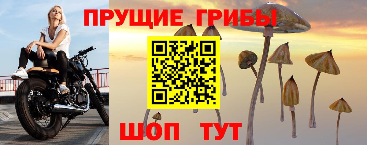 Псилоцибиновые грибы Psilocybine cubensis  наркота  Крымск  Вход с VPN 